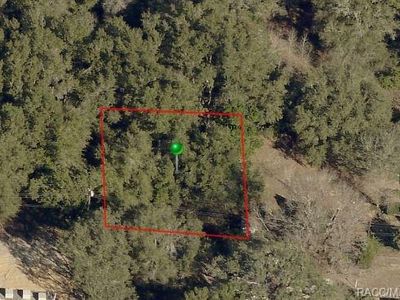 2803 Jackson St W, Inverness, FL, 34453