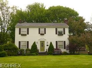 294 Shiawassee Ave, Akron, OH