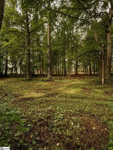 TRACT 2 Old Mill Rd, Easley, SC, 29642