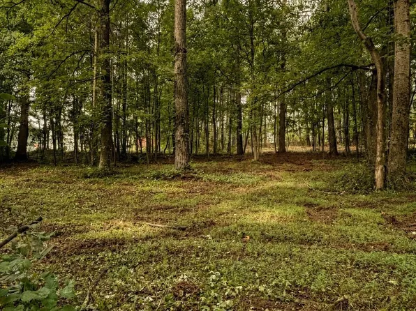TRACT 2 Old Mill Rd, Easley, SC 29642