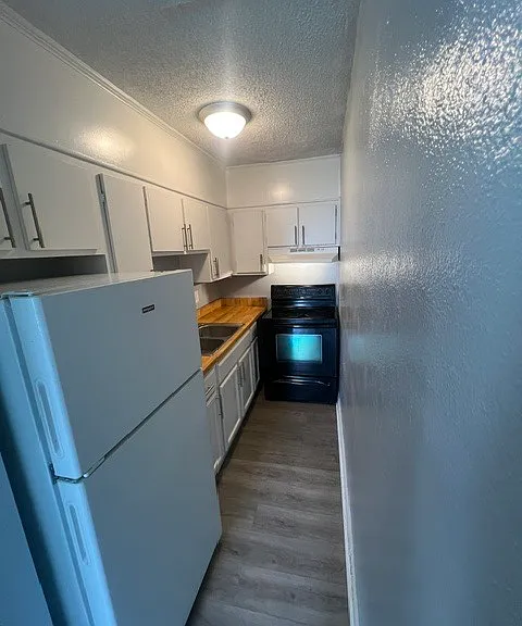 3100 Azalea Dr #B — Photo 4