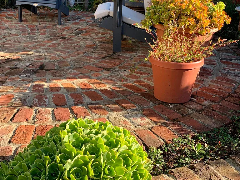 Patio garden, BBQ