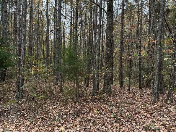 Sulphur Springs Rd, Ramer, TN 38367