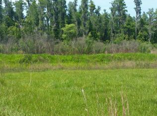3340 Appalachian Trl, Polk City, FL 33868