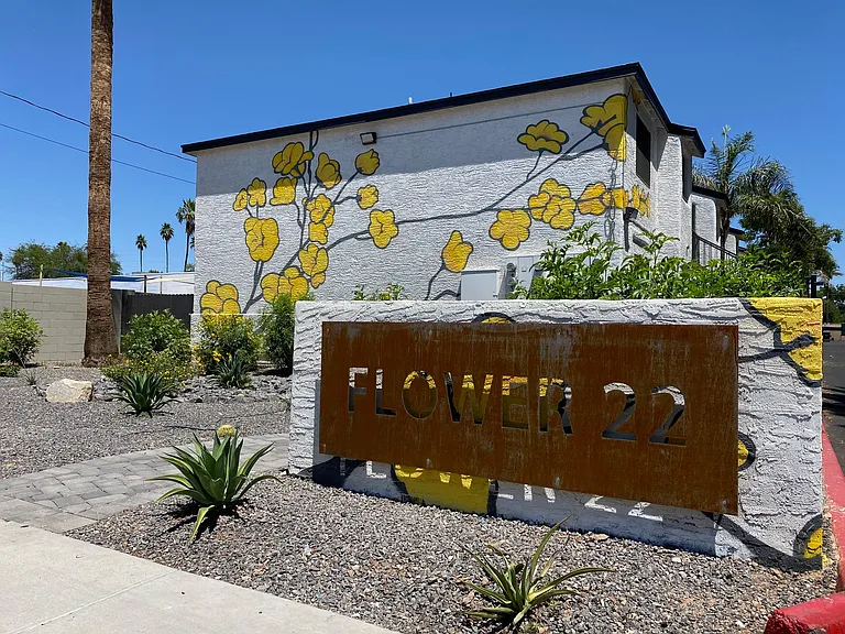Flower 22 — Photo 13