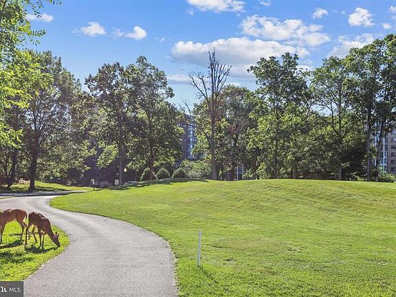 3rd image of 15121 Glade Dr #13-1C