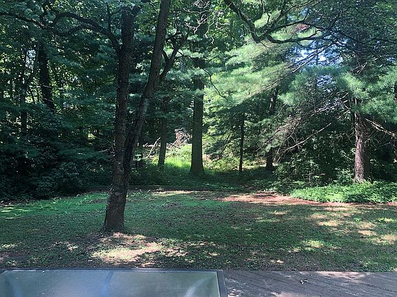 View from deck
