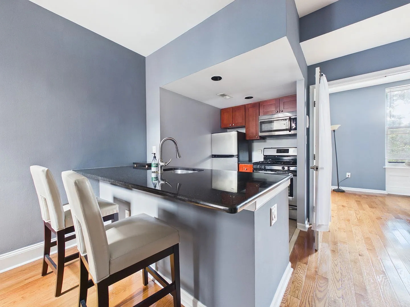 Bright One Bedroom Apartment in Spring Garden + Parking! — Photo 3