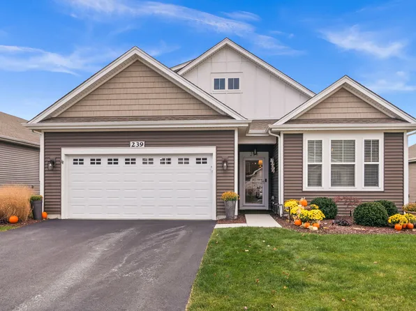 239 Durham St, North Aurora, IL 60542