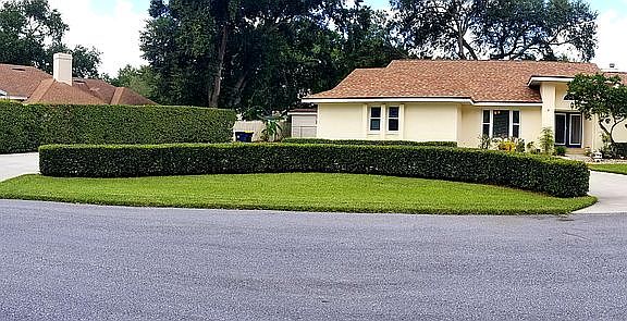 3rd image of 907 Oakway Dr