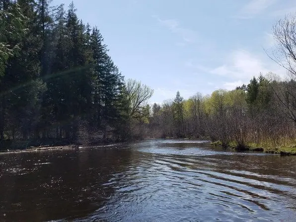 9399 Norsable Pines Trl, Grayling, MI 49738