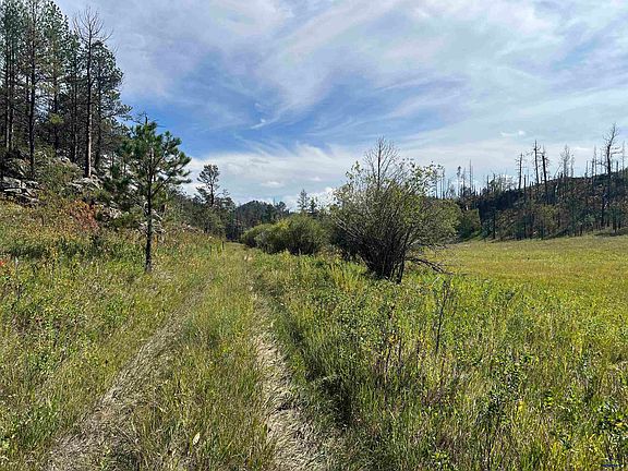 2nd image of 25919 Flynn Creek Rd