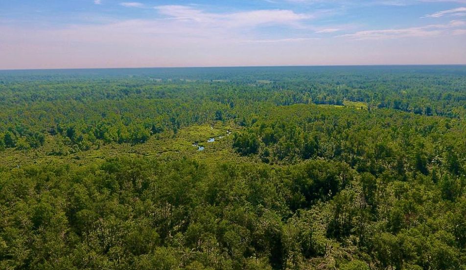 1st image of 62 S Little Ox Creek Dr