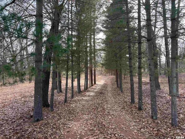 20217 County Road 1500 N, Havana, IL 62644