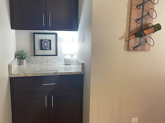 dry bar equipped with wine glasses