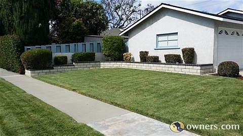 Front yard