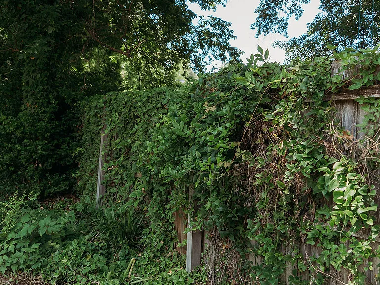 300 Osborne Dr — Photo 64