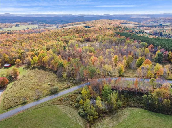 0 S America Rd #50, Worcester, NY 12197