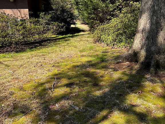 5th image of 2607 Bainbridge Blvd