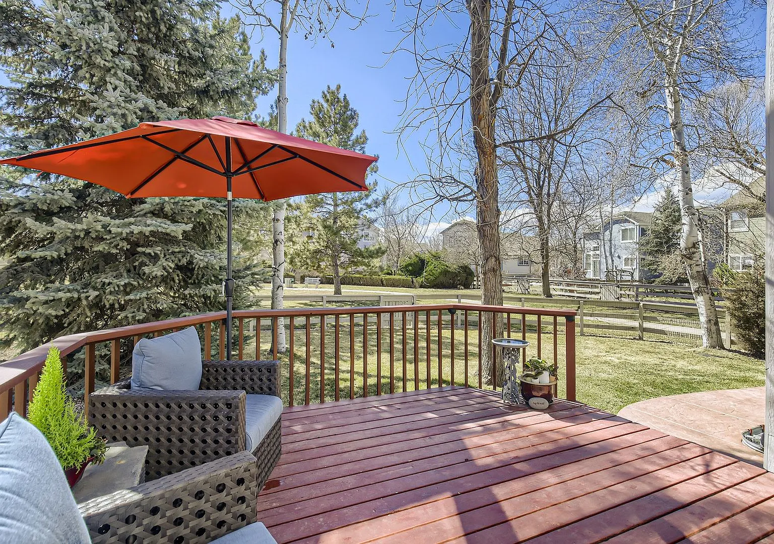 Spacious 4 BDR Longmont Home — Photo 4