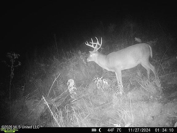 5th image of 2490 Shady Grove Rd