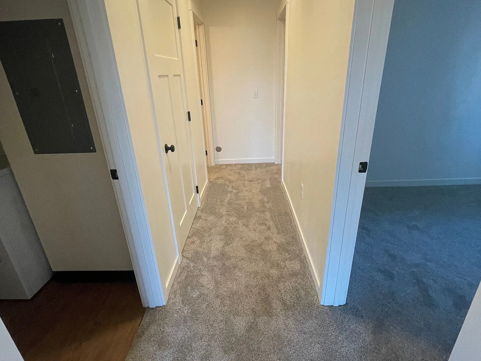 2 bed, 1040 sqft, $1,500 — Photo 4
