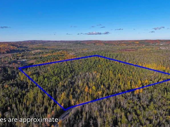 0 E Valley Rd, Cedar, MI 49621