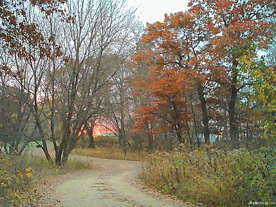 Sunset from driveway