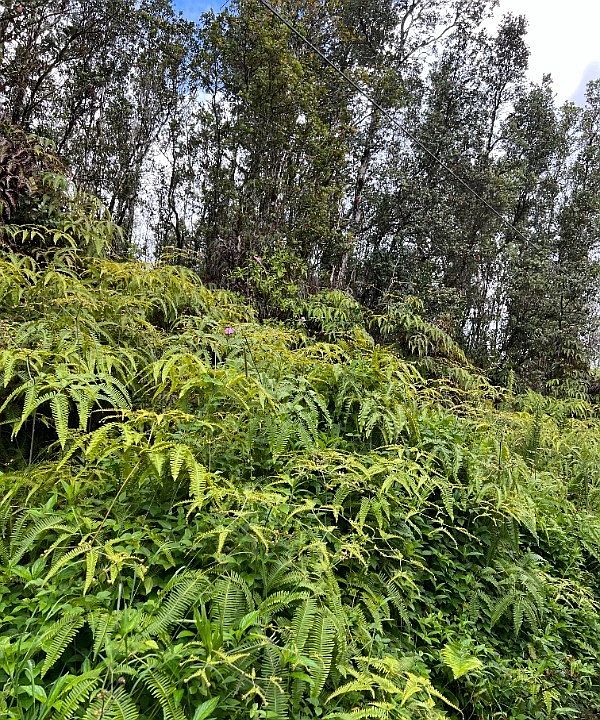 1st image of Kona St Lot 414