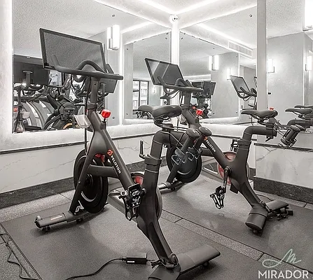 Rented by Mirador Real Estate | media 21