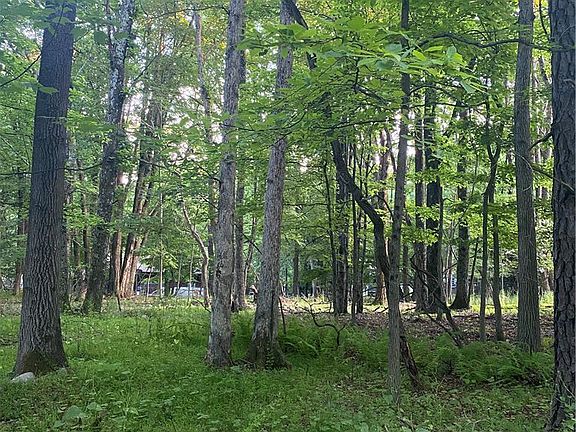 5th image of 383 Johns Rd