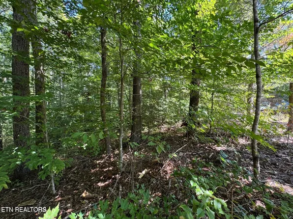 LOT 6 Saddle Brook Way, Sevierville, TN 37862