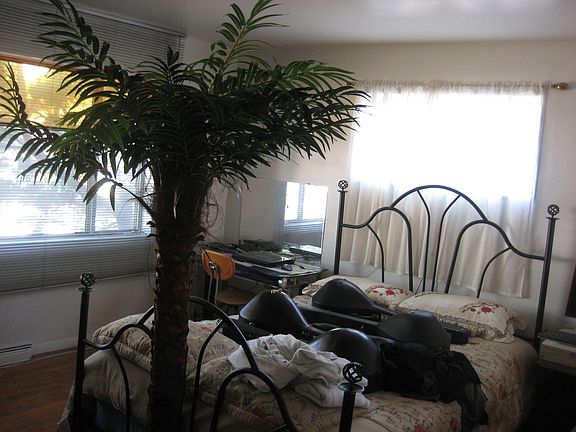 4th image of 4824 Kirk St APT D