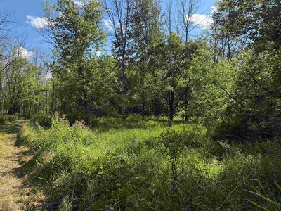 Symco Rd, Bear Creek, WI, 54922
