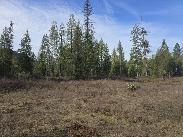 3 Larkspur Way, Kettle Falls, WA 99141