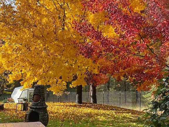 5th image of 916 Ferry Rd