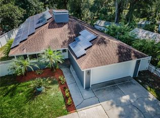 1302 S Pine Lake Dr, Tampa, FL 33612