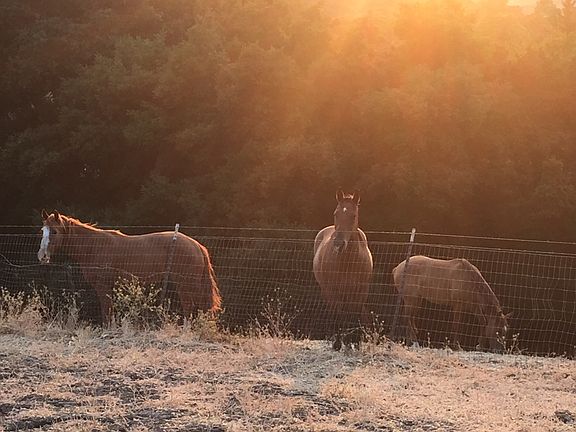  3.5+ acr 1mi from down town