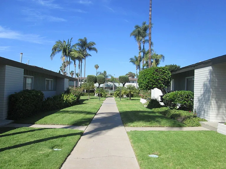 The Palms — Photo 2