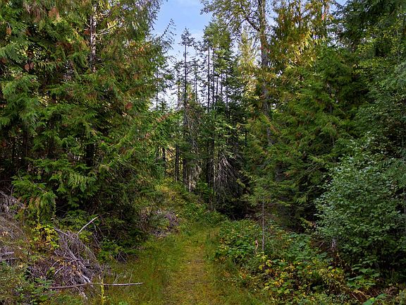 2nd image of 4450 Buck Creek Rd