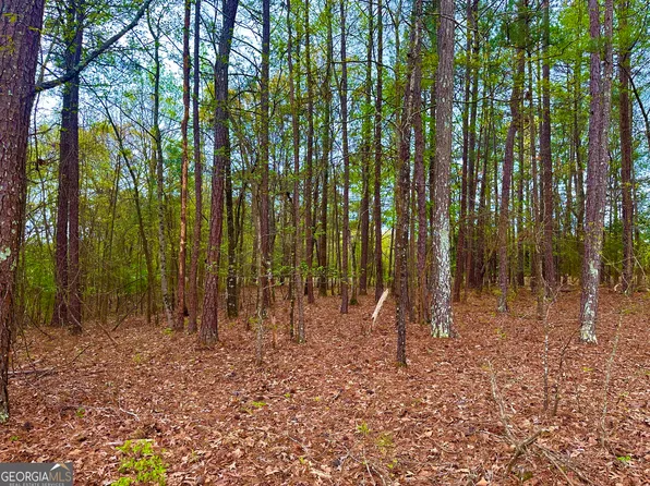 0 Cove Rd, Woodbury, GA 30293