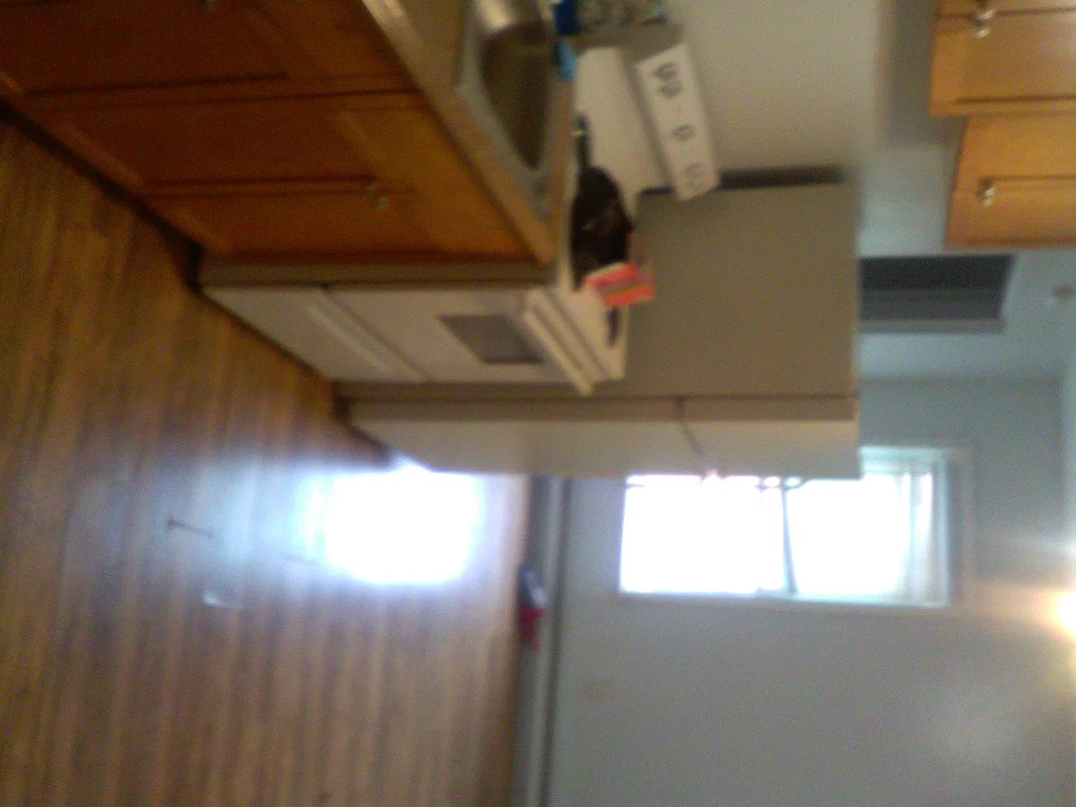 2 bed, $1,200 — Photo 3