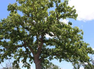135 PACK SADDLE LN LOT 135, Fredericksburg, TX 78624