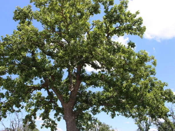 135 PACK SADDLE LN LOT 135, Fredericksburg, TX 78624