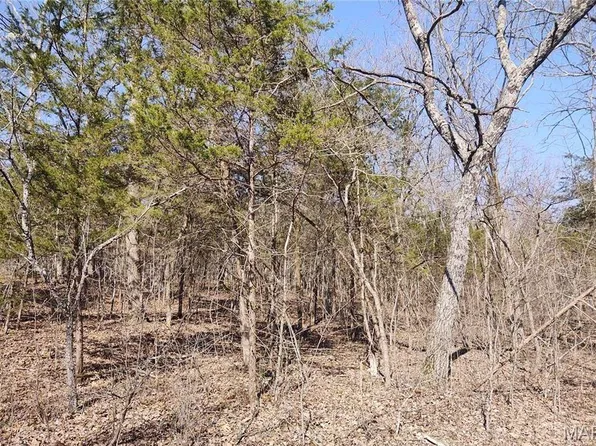 0 Rose Dr, Bonne Terre, MO 63628