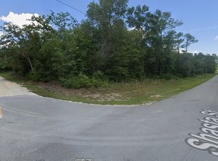 21817 Shasta St, Webster, FL 33597