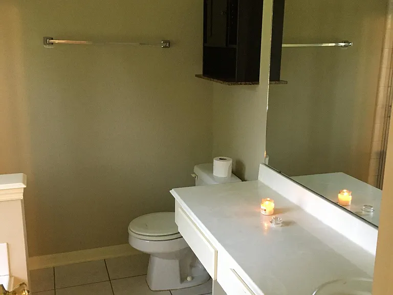 4603 Shane Creek Ln — Photo 13