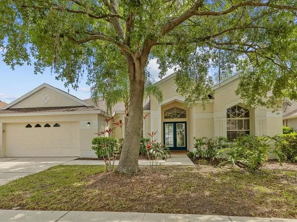 18115 Pheasant Walk Dr, Tampa, FL 33647