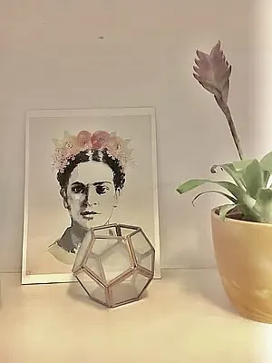 Rented by KYLM, LLC | media 13