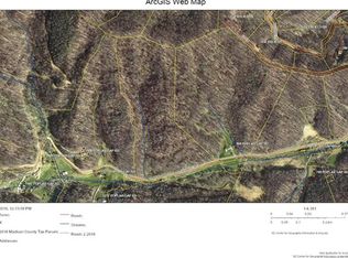 9999 Poplar Gap Rd, Hot Springs, NC 28743